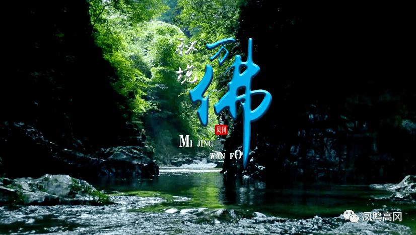 逗小猴开心系列183