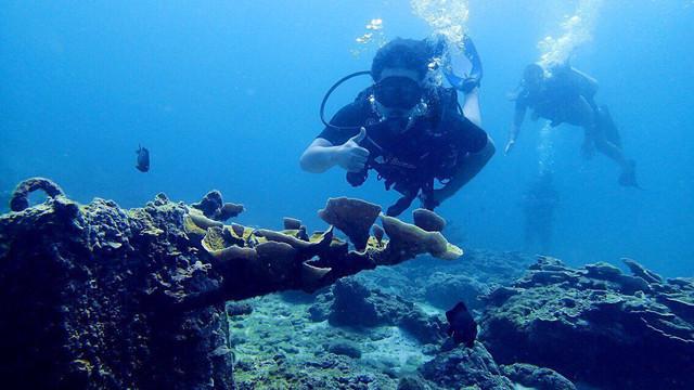 春运首日地良东汽车站客流平稳