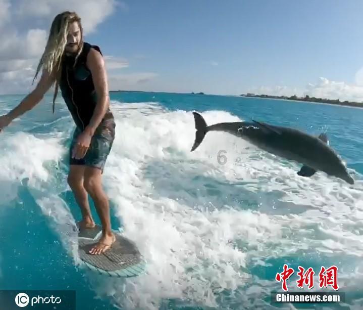 救援小孔雀